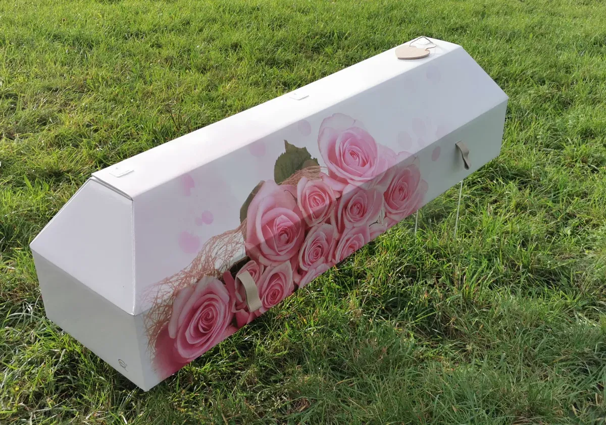 cercueil carton