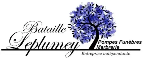 logo professional