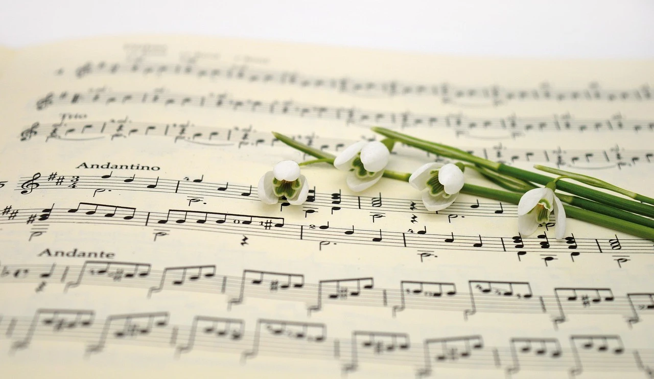 musique veillée 