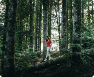 people-in-forest